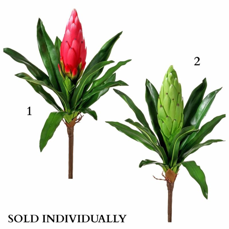 Greenery |  Citrus Bromeliad Plant 16" (Sold Individually) Christmas Décor 1 - Pink