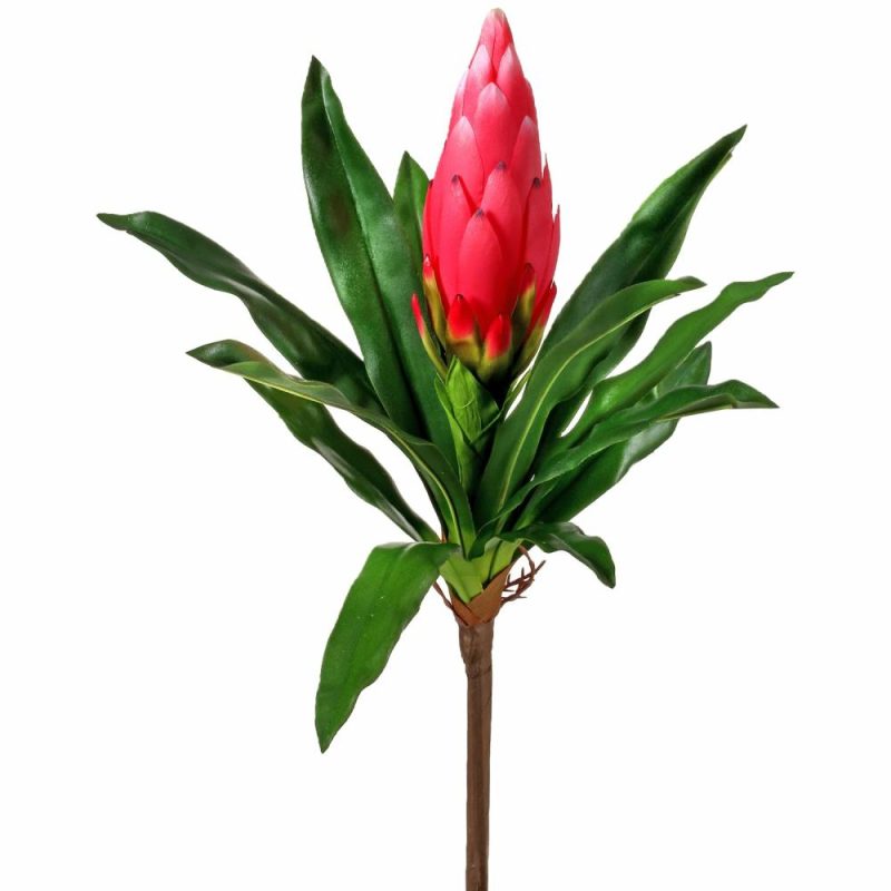 Greenery |  Citrus Bromeliad Plant 16" (Sold Individually) Christmas Décor 1 - Pink