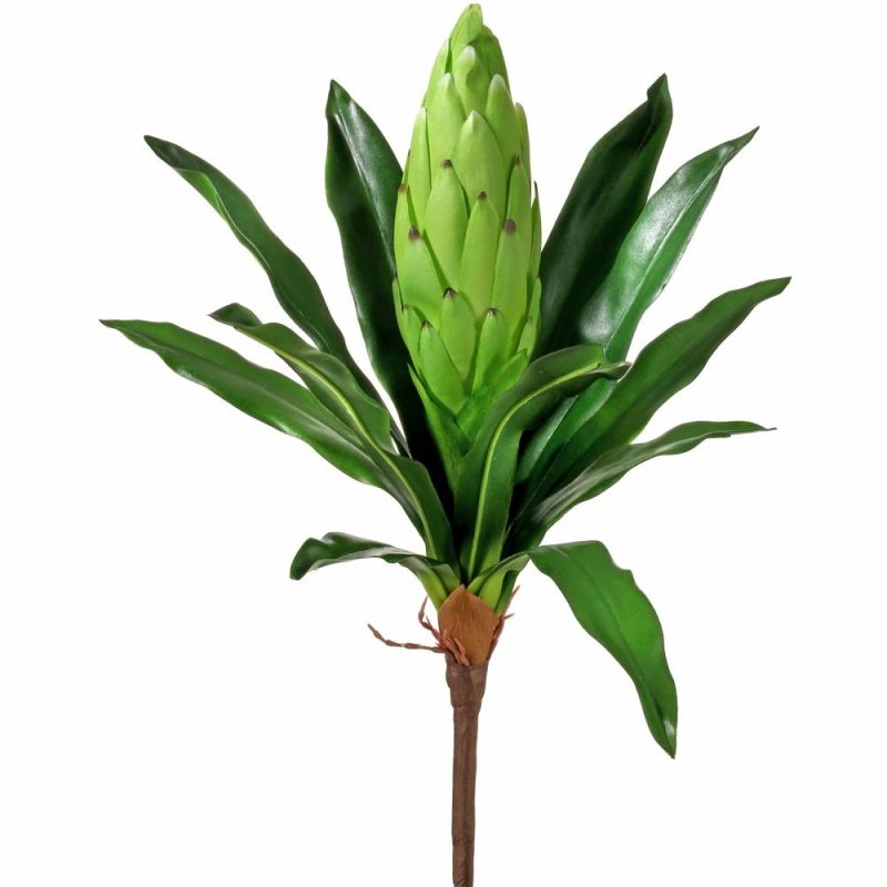 Greenery |  Citrus Bromeliad Plant 16" (Sold Individually) Christmas Décor 1 - Pink